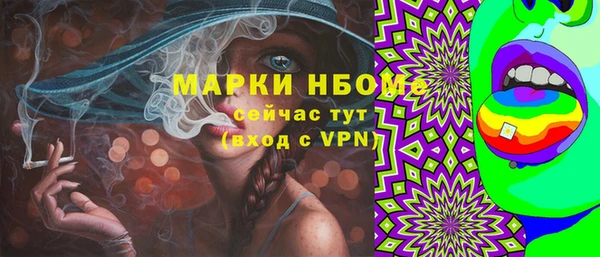 СК Алексин