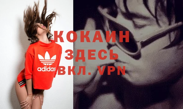 СК Алексин