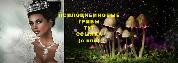 СК Алексин