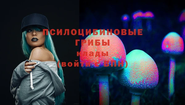 2c-b Алексеевка